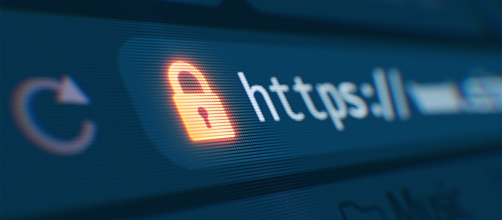 browser address bar